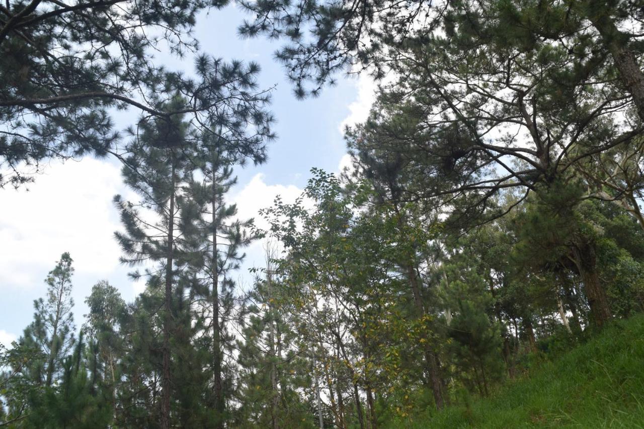 Hotel Pham Duy Dalat Exteriér fotografie